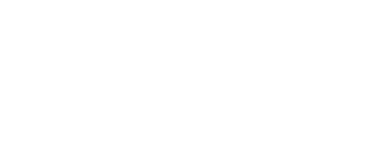 SLASH FORCE